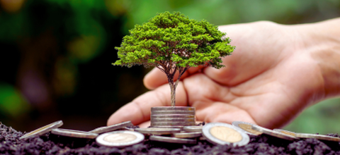 RSE pour TPE et PME